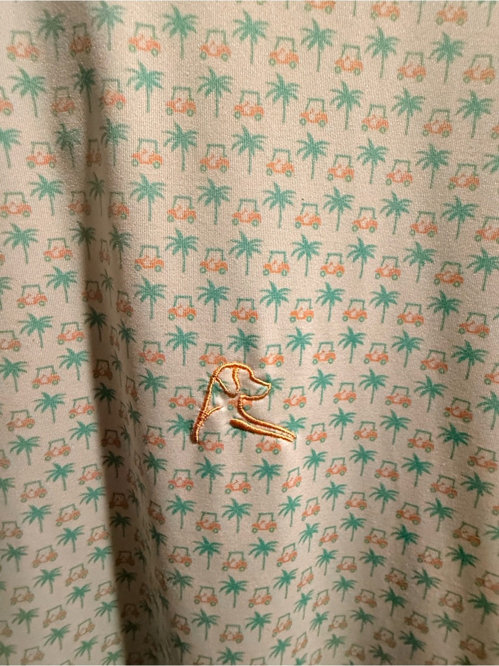 Men’s Rhoback polo